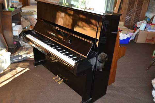 Yamaha Piano For Sale